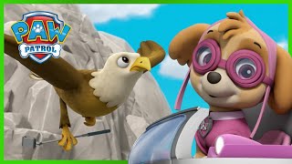 Los cachorros salvan a un escalador aventurero  PAW Patrol Episodio Español  Patrulla de Cachorros [upl. by Morena678]