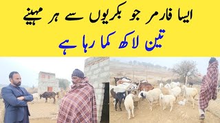 Millionaire Goat Farmer  Goat Farming  Chakwal Goat Farm [upl. by Magnum]