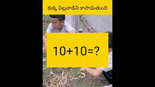 E kukka pillavadini kapaduthundhu facts amazingfacts telugu [upl. by Sadinoel]