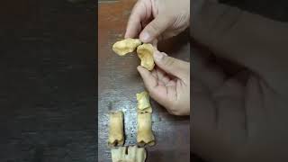 phalanges comparative دكتور رمضان ساري [upl. by Eseila]