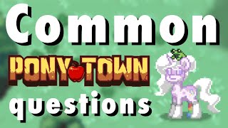 How to invite people to your islandhouse  Common Pony Town questions  Tutorial [upl. by Sedberry24]