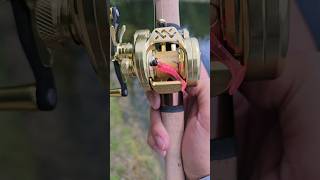 Ultimate Ultralight Baitcasting Reel with DC Braking fishing [upl. by Slemmer]