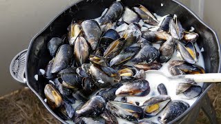 Recette  Moule à la crème fraîche [upl. by Nassir607]