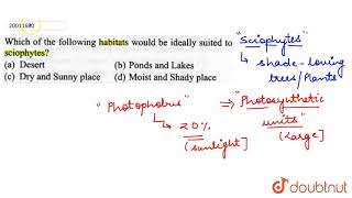 Which of the following habitats would be ideally suited to sciophytes [upl. by Kinimod14]
