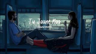 Tu Jaane Na  Atif Aslam song Slowed  reverb ranbirkapoor love [upl. by Abbotsen581]