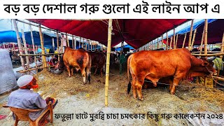 Fatullah Gorur Haat Narayanganj 2024  Exclusive Shed  Massive bulls of Narayanganj Qurbanir Hat [upl. by Ynnav]