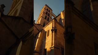 Esslingen 2024 fx30 sony capcut [upl. by Ahsaya]