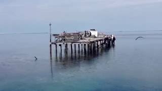 Abrolhos Islands 2013  Part 3  Flight [upl. by Aseram101]