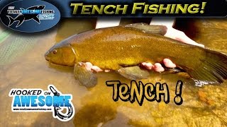 Fishing for Tench  Epic action  TAFishing [upl. by Everett]