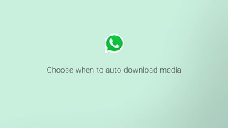 How to Configure Auto Download for Media  Data Usage Tips  WhatsApp [upl. by Tija482]