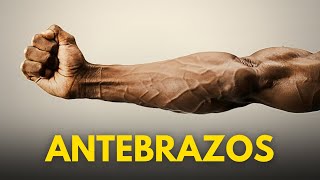 4 EJERCICIOS DE ANTEBRAZO QUE DEBES HACER [upl. by Nelav970]