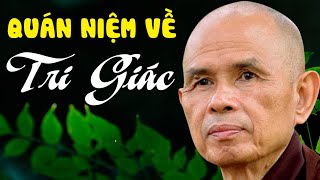 Quán Niệm Về TRI GIÁCLàm Chủ Được quotÝquot Là Thành Công TRÊN ĐƯỜNG TU HỌC  Thiền Sư Thích Nhất Hạnh [upl. by Maryn877]