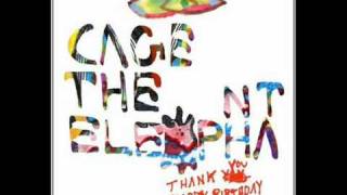 Cage the Elephant Around My Head Lyrics [upl. by Diraf]