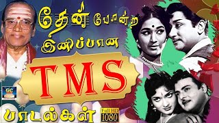 தேன்போன்ற இனிப்பான TMS காதல் பாடல்கள்  TMS Duet Love Songs  60s EverGreen Hits  HD [upl. by Reivaxe]