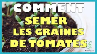 Comment semer les graines de tomates [upl. by Lopez]