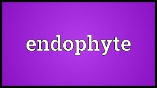 Endophyte Meaning [upl. by Idoj829]