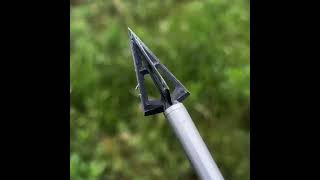 Broadhead Performance Test Discover the Best for Your Huntarrowheads hunting outdoorsshorts [upl. by Cahilly]