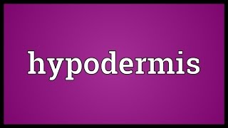 Hypodermis Meaning [upl. by Neb]