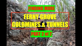 Finding Even More Hidden Ferny Grove Gold Mines amp Tunnels Part 2 of 2 [upl. by Phox]