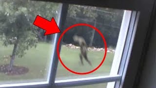 5 Mysterious Creatures Caught on Tape  Top 5 STRANGE Creatures [upl. by Ylirama]