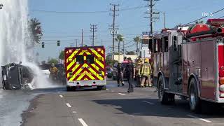 Inglewood Tesla Vs Hydrant [upl. by Onez]