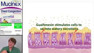 Expectorants Guaifenesin [upl. by Bopp]