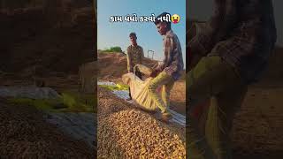 viralvideo shots viralvideos viralshort shortvideo gujarat [upl. by Yekcin]