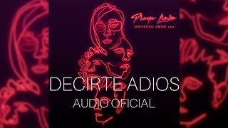 Playa Limbo  Decirte Adios Audio Oficial [upl. by Ecnerewal785]