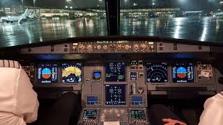 Airbus A320NEO Cockpit Takeoff from Oslo Gardermoen [upl. by Kcirdle]