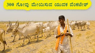 Herdsman Venkatesh rearing 300 cows [upl. by Rozanna]