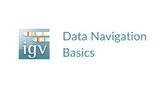 IGV  Data Navigation Basics V2 [upl. by Ailad]