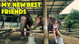 Elephant Sanctuary Phuket  Thailand vlog part 16 [upl. by Killie]