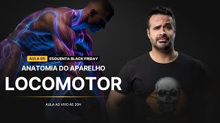 AO VIVO Anatomia do Aparelho Locomotor [upl. by Harima]