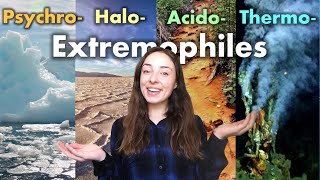 Extremophiles Organisms That Live in Extremely Cold Hot Acidic or Salty Environments  GEO GIRL [upl. by Ettelrac]