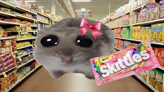 Skittles meme Sad Hamster [upl. by Aklog]