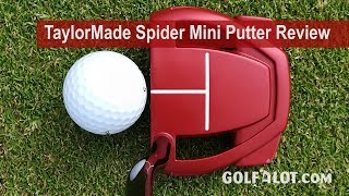 TaylorMade Spider Mini Putter Review By Golfalot [upl. by Brace]