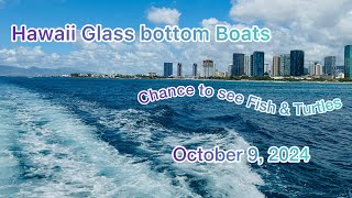 Glass Bottom Boats in Honolulu Hawaii October 21 2024 [upl. by Anital]