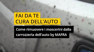 Come rimuovere i moscerini dalla carrozzeria dellauto by MAFRA [upl. by Ellehcer]