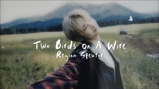 Regina Spektor  Two birds on a wire lyrics sped up  reverb [upl. by Notyard]