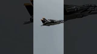 Low and fast pass F14 Tomcat [upl. by Lemrahs]