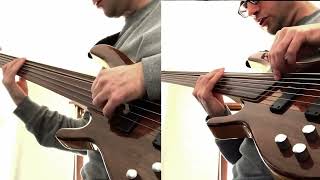 Fretless bass Vs Fretless bass fretlessbass sixstringsfretless [upl. by Faruq897]