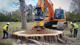 Amazing Biggest Stump Removal Excavator At Another Level Incredible Stump Removal Grinding Machine [upl. by Aerdnad]