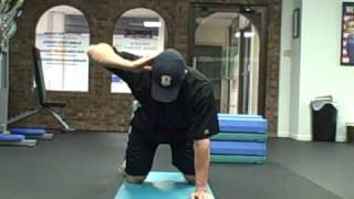 Thoracic Spine Mobility Exercises [upl. by Nnayd]