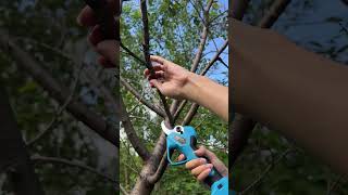 SC8612 45MM 252V Electric Pruning Shears  2024 Highend series [upl. by Adnaluoy]