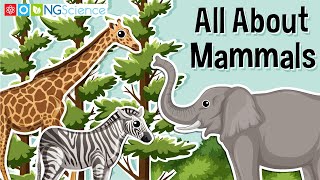 All About Mammals [upl. by Trinetta]