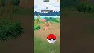 Shiny✨ Rabbit🐇 Pokemon Pgsharp Pokemon Go [upl. by Hugues]