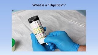 Interpretation of the Urinalysis Part 2  The Dipstick [upl. by Letniuq]