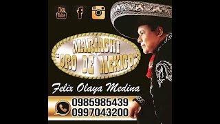 UN RAMO DE FLORES CON MARIACHI quotOro de Mexicoquot de FELIX OLAYA de GUAYAQUIL [upl. by Eniluap]