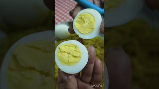 Worthy Egg Boiler eggtronic review shortreviews silviswonderworld [upl. by Tankoos30]