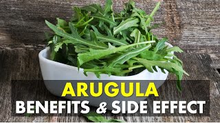 Arugula Benefits and Side Effect Is Arugula Good For You [upl. by Durant321]